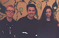 Wade with Bauhaus