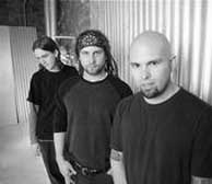 Brass Knuckle Surfers